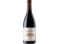 Escaleras De Empedrado Pinot NoirValle De MauleMiguel Torres Chile