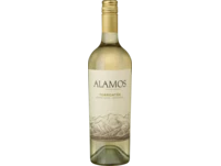 Alamos TorrontésMendozaAlamos